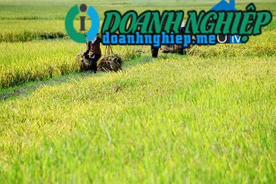 Image of List companies in Thinh Thanh Commune- Yen Thanh District- Nghe An