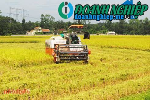 Image of List companies in Tien Thanh Commune- Yen Thanh District- Nghe An