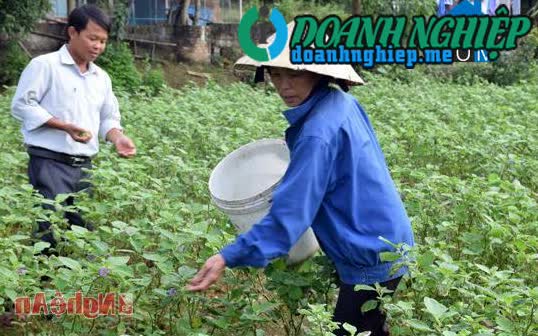 Image of List companies in Dai Thanh Commune- Yen Thanh District- Nghe An