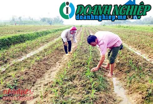 Image of List companies in Khanh Thanh Commune- Yen Thanh District- Nghe An