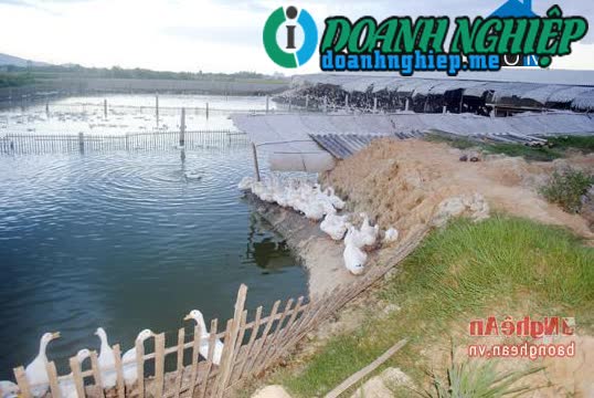Image of List companies in Nam Thanh Commune- Yen Thanh District- Nghe An