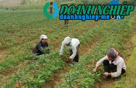 Image of List companies in Gia Hoa Commune- Gia Vien District- Ninh Binh
