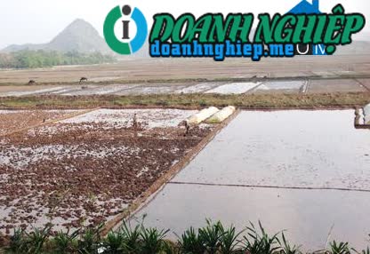 Image of List companies in Gia Tien Commune- Gia Vien District- Ninh Binh