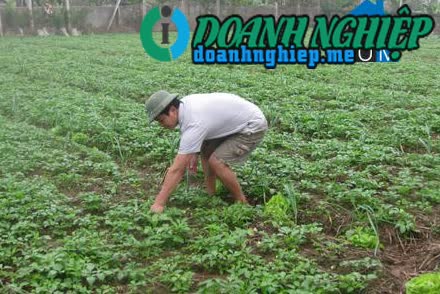 Ảnh về Doanh nghiệp tại Xã Xuân Thiện- Huyện Kim Sơn- Ninh Bình