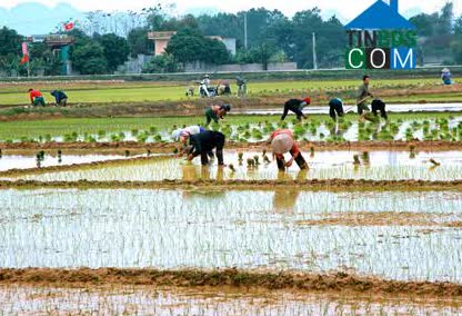 Image of List companies in Van Phong Commune- Nho Quan District- Ninh Binh