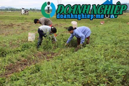 Image of List companies in Van Phuong Commune- Nho Quan District- Ninh Binh