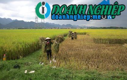Image of List companies in Yen Quang Commune- Nho Quan District- Ninh Binh