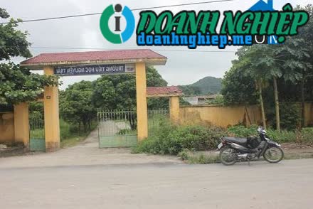 Image of List companies in Nam Son Ward- Tam Diep City- Ninh Binh