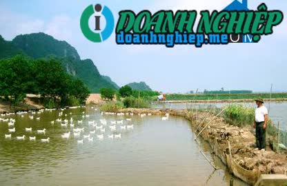 Image of List companies in Tan Binh Ward- Tam Diep City- Ninh Binh