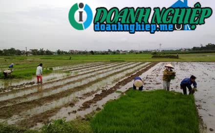 Image of List companies in Khanh Duong Commune- Yen Mo District- Ninh Binh