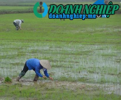 Image of List companies in Yen Hung Commune- Yen Mo District- Ninh Binh