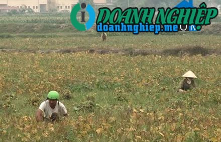 Image of List companies in Yen Thang Commune- Yen Mo District- Ninh Binh