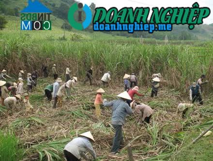 Ảnh về Doanh nghiệp tại Xã Quảng Sơn- Huyện Ninh Sơn- Ninh Thuận