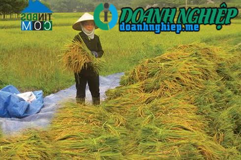 Ảnh về Doanh nghiệp tại Xã Hương Lung- Huyện Cẩm Khê- Phú Thọ