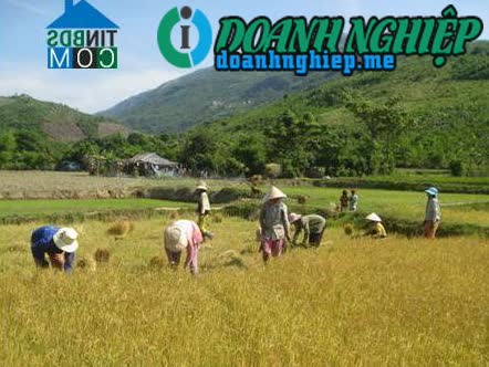Image of List companies in Phuoc Ha Commune- Thuan Nam District- Ninh Thuan