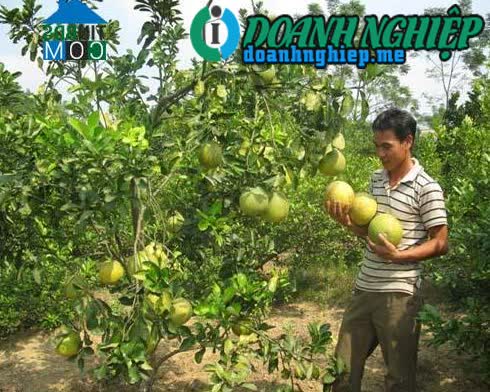 Ảnh về Doanh nghiệp tại Xã Chí Đám- Huyện Đoan Hùng- Phú Thọ