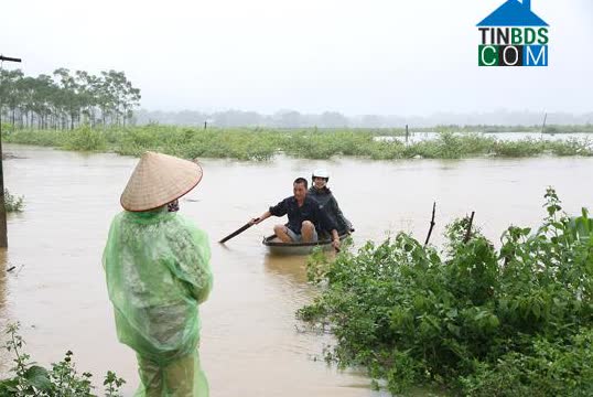 Ảnh về Doanh nghiệp tại Xã Sơn Tình- Huyện Cẩm Khê- Phú Thọ