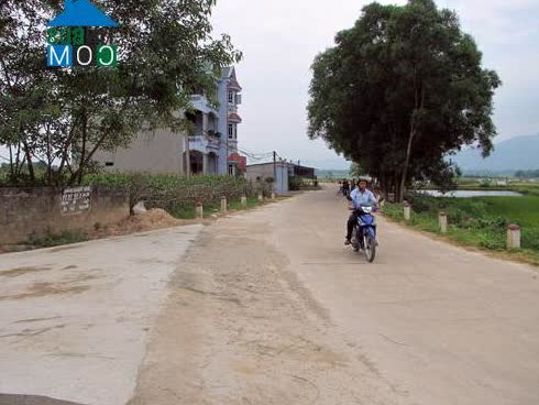 Image of List companies in Xuong Thinh Commune- Cam Khe District- Phu Tho