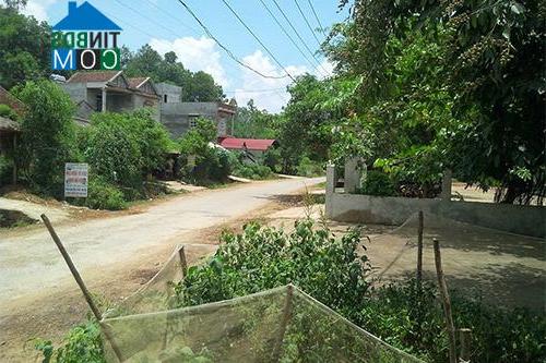 Image of List companies in Yen Duong Commune- Cam Khe District- Phu Tho