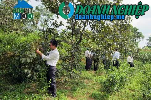 Image of List companies in Gia Thanh Commune- Phu Ninh District- Phu Tho