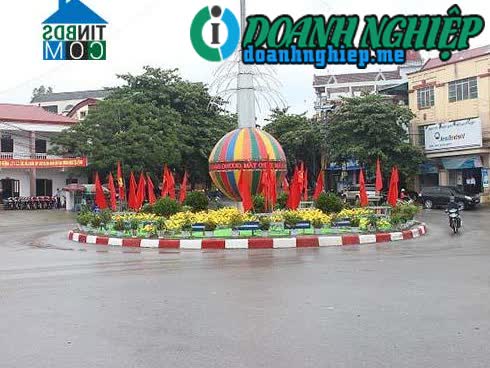 Image of List companies in Phong Chau Town- Phu Ninh District- Phu Tho