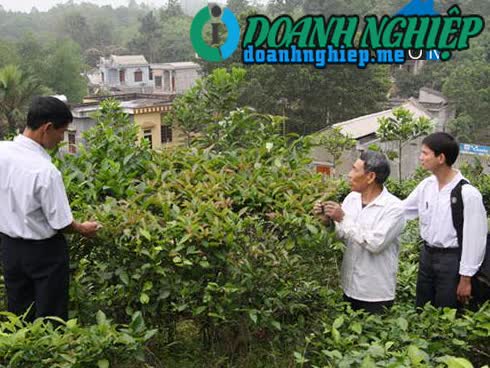 Ảnh về Doanh nghiệp tại Xã Thái Ninh- Huyện Thanh Ba- Phú Thọ