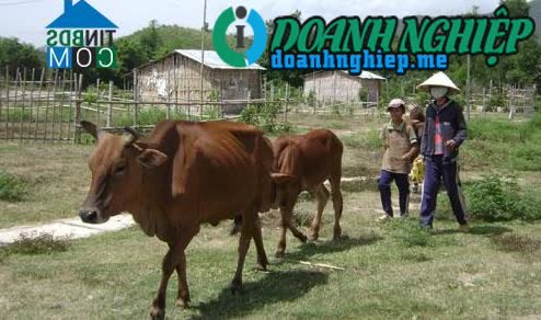 Image of List companies in Da Loc Commune- Dong Xuan District- Phu Yen