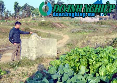 Ảnh về Doanh nghiệp tại Xã Quảng Phong- Huyện Hải Hà- Quảng Ninh