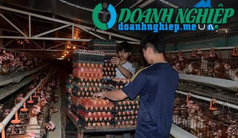 Image of List companies in Tan An Ward- Quang Yen Town- Quang Ninh