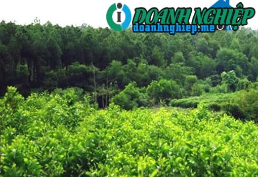 Image of List companies in Thai Thuy Commune- Le Thuy District- Quang Binh