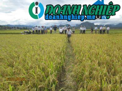 Image of List companies in Xuan Ninh Commune- Quang Ninh District- Quang Binh
