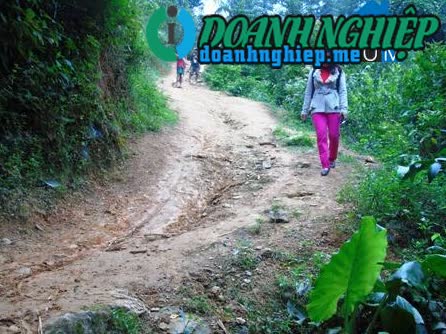 Image of List companies in Trong Hoa Commune- Minh Hoa District- Quang Binh