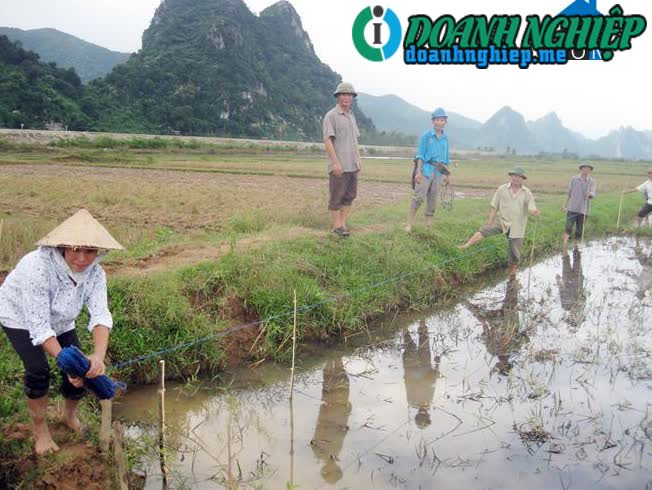 Image of List companies in Chau Hoa Commune- Tuyen Hoa District- Quang Binh