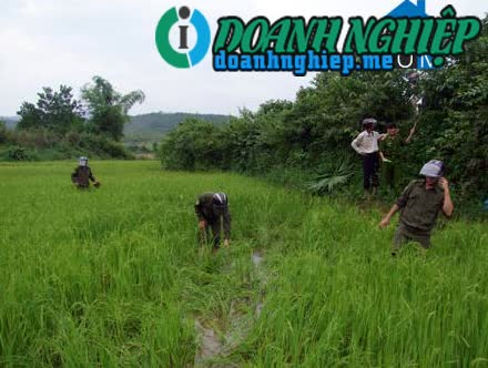 Image of List companies in Le Hoa Commune- Tuyen Hoa District- Quang Binh