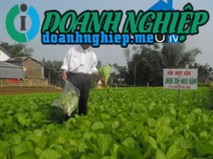 Image of List companies in Dien Minh Commune- Dien Ban District- Quang Nam