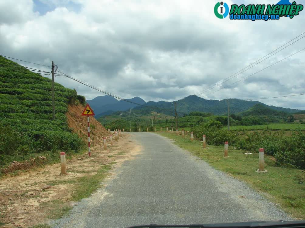 Image of List companies in Tu Commune- Dong Giang District- Quang Nam