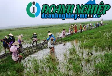 Image of List companies in Duy Thanh Commune- Duy Xuyen District- Quang Nam