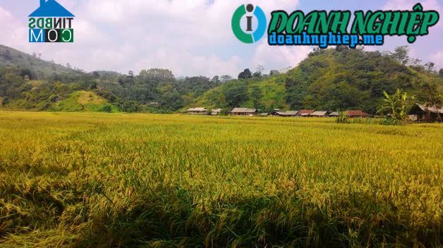 Image of List companies in Lau Thuong Commune- Vo Nhai District- Thai Nguyen