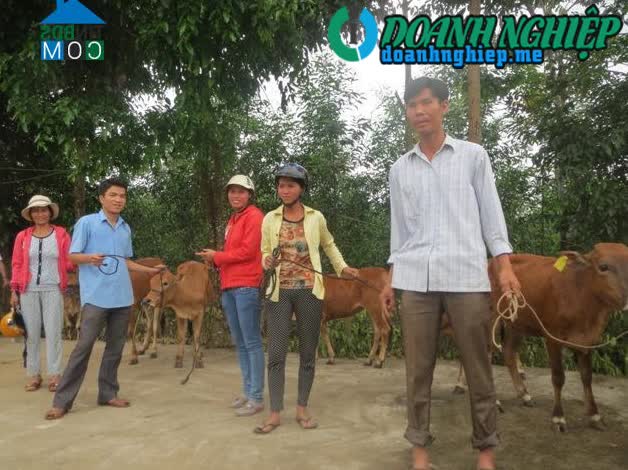 Ảnh về Doanh nghiệp tại Xã Phước Ninh- Huyện Nông Sơn- Quảng Nam
