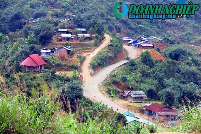 Image of List companies in Phuoc Loc Commune- Phuoc Son District- Quang Nam