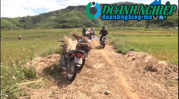 Ảnh về Doanh nghiệp tại Xã Phước Năng- Huyện Phước Sơn- Quảng Nam