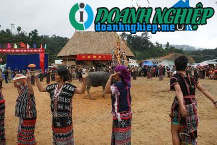 Image of List companies in A Tieng Commune- Tay Giang District- Quang Nam