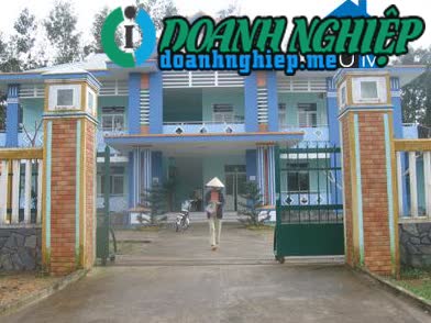 Image of List companies in Tien Phong Commune- Tien Phuoc District- Quang Nam