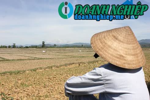 Ảnh về Doanh nghiệp tại Xã Ba Dinh- Huyện Ba Tơ- Quảng Ngãi