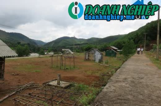 Image of List companies in Ba Le Commune- Ba To District- Quang Ngai