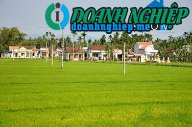Image of List companies in Duc Hoa Commune- Mo Duc District- Quang Ngai