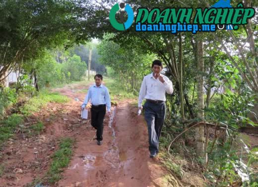 Ảnh về Doanh nghiệp tại Xã Long Mai- Huyện Minh Long- Quảng Ngãi