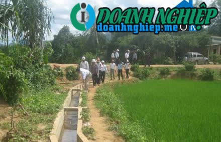 Image of List companies in Son Thanh Commune- Son Ha District- Quang Ngai