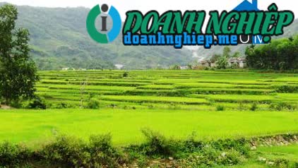 Image of List companies in Son Mau Commune- Son Tay District- Quang Ngai