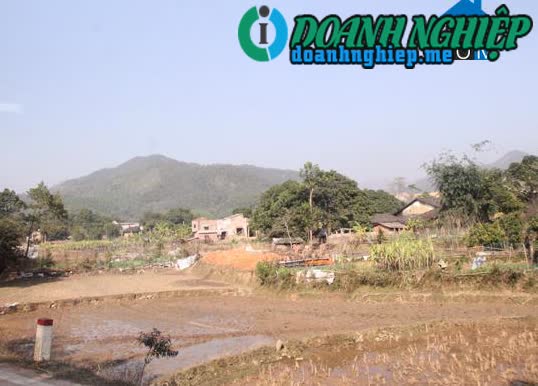 Ảnh về Doanh nghiệp tại Xã Vô Ngại- Huyện Bình Liêu- Quảng Ninh